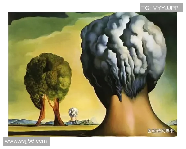 探索奥蓬达的魅力与神秘，揭示其背后的历史与文化之旅